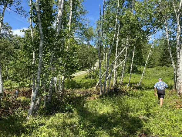 Machiasport, ME 04655,Lot 4 Woodruff Cove Road