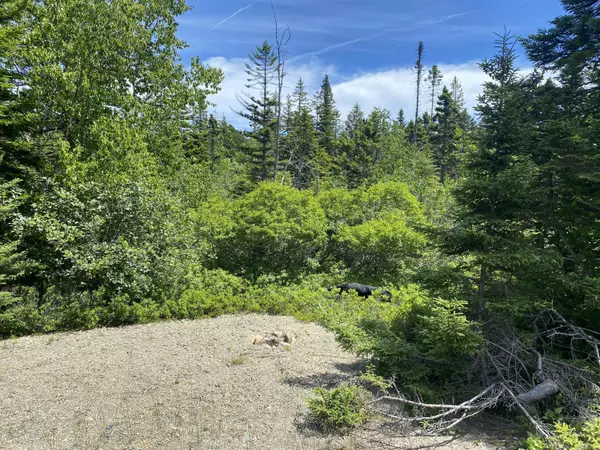Machiasport, ME 04655,Lot 4 Woodruff Cove Road