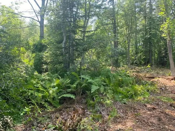 Rockport, ME 04856,0 Ben Paul LN