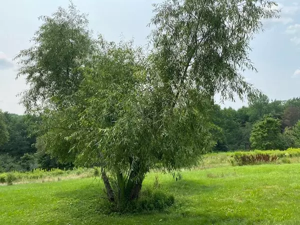 Newcastle, ME 04553,84 Sheepscot RD