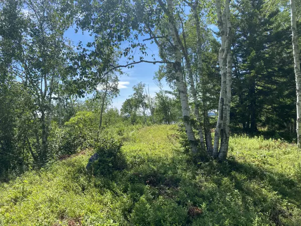 Machiasport, ME 04655,Lots 1,2,3 Woodruff Cove Road