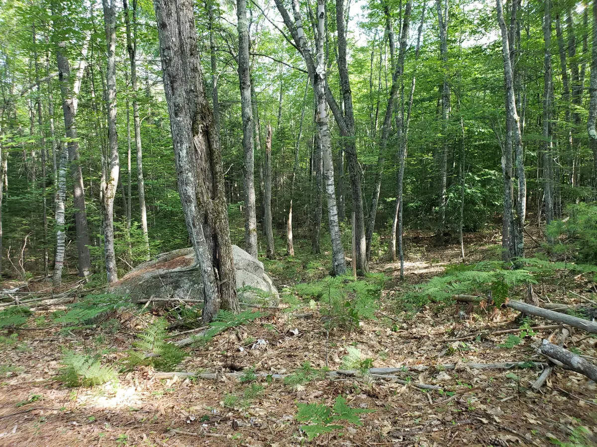 Norway, ME 04268,tbd Waterford RD