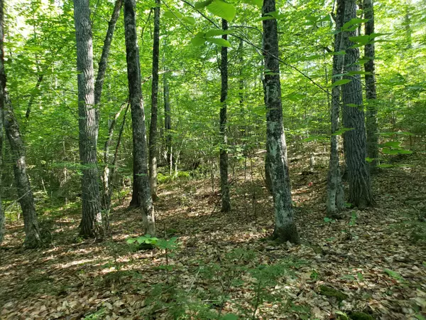 Norway, ME 04268,tbd Waterford RD