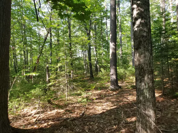 Norway, ME 04268,tbd Waterford RD