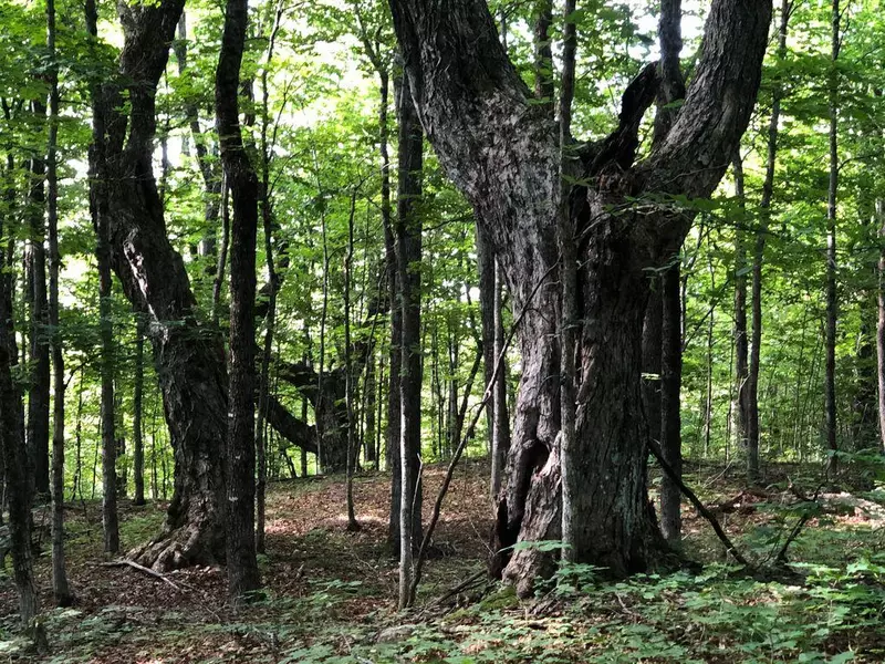 TBD Avon Corner Road RD, Avon, ME 04966