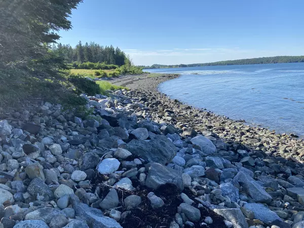 1100 Leighton Point RD, Pembroke, ME 04666