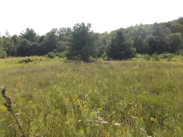 Whitefield, ME 04353,221 Hunts Meadow RD