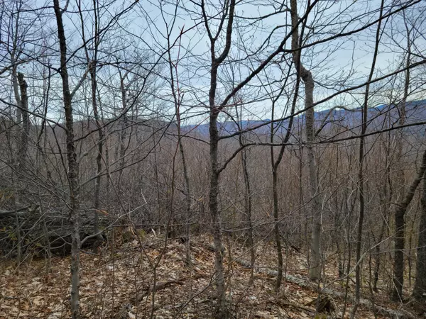 Roxbury, ME 04275,0 Roxbury Notch RD