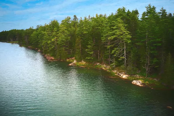 Pembroke, ME 04666,0 Ox Cove RD