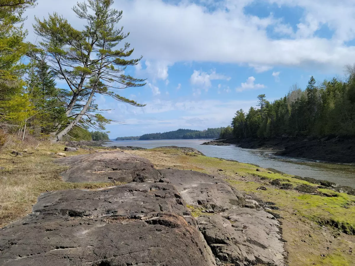 Pembroke, ME 04666,0 Ox Cove RD