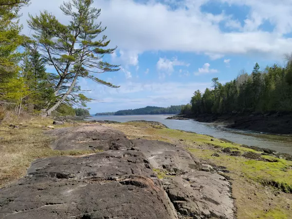 0 Ox Cove RD, Pembroke, ME 04666