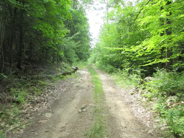 Limerick, ME 04048,60 Win Griffith RD