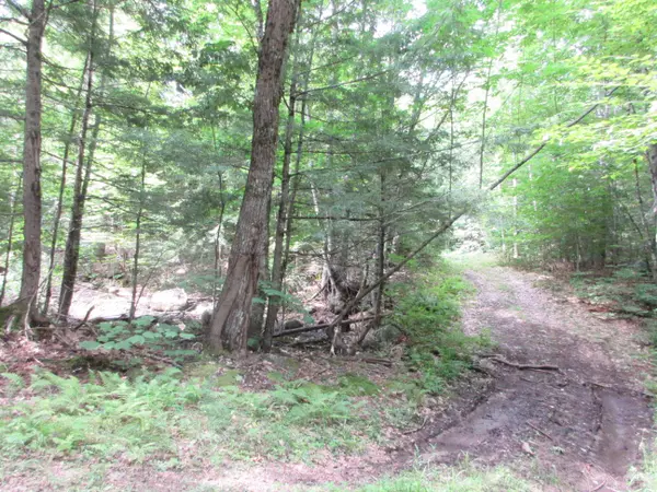 Limerick, ME 04048,60 Win Griffith RD