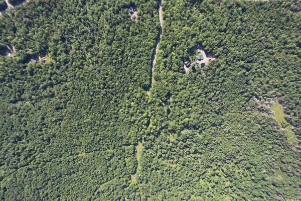 Greenville, ME 04441,14 Edgewood TRL