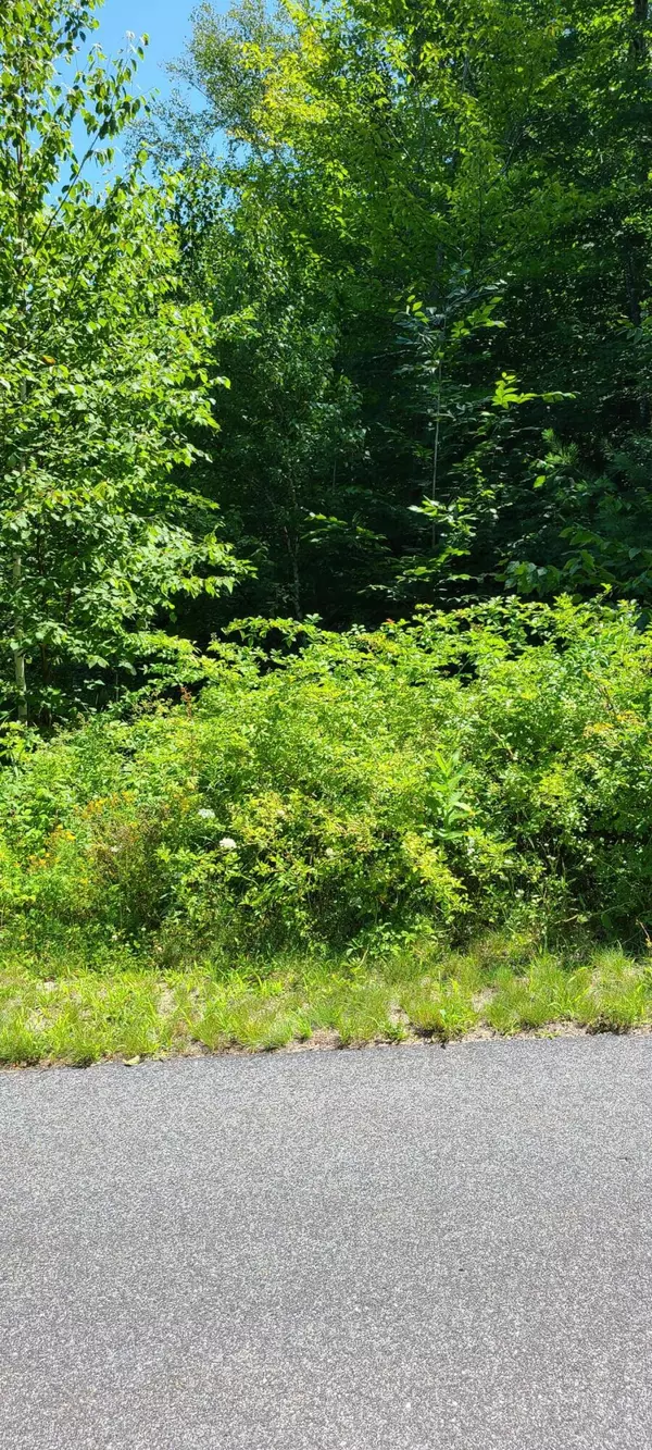 Naples, ME 04055,55 Forest Ridge DR