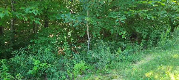 Naples, ME 04055,55 Forest Ridge DR