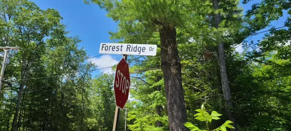 55 Forest Ridge DR, Naples, ME 04055