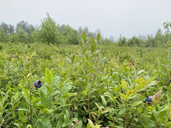 Robbinston, ME 04671,Lot 3-S Steam Mill Road