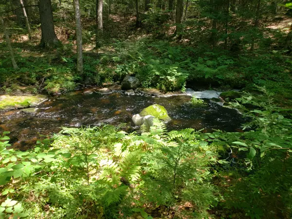 Lovell, ME 04051,tbd Route 5, Main ST