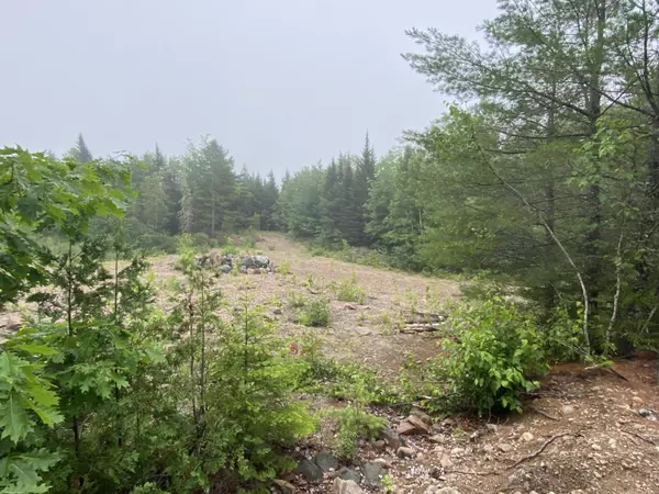 Robbinston, ME 04671,Lot 3-N Steam Mill Road