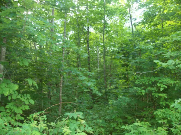 Mount Chase, ME 04765,tbd Mountain Road