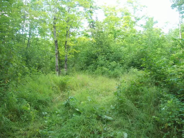 Mount Chase, ME 04765,tbd Mountain Road