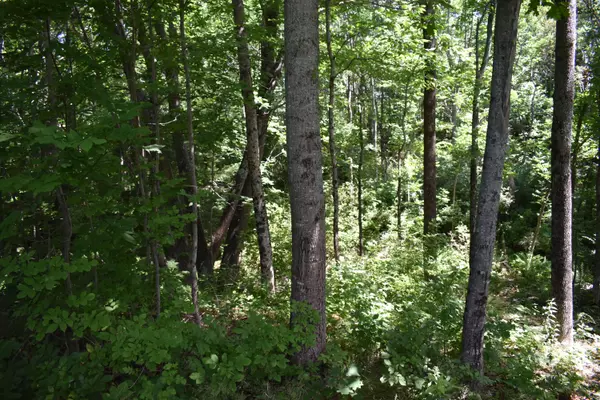 Eddington, ME 04428,Lot 4 Moonlight River DR