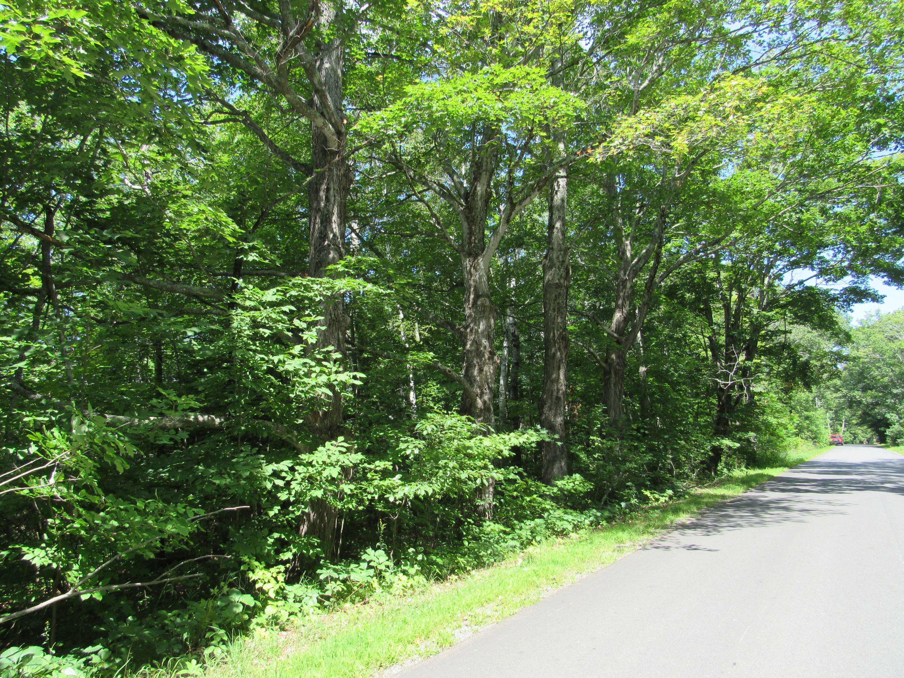 M8L15 Lang Hill RD, Palmyra, ME 04965