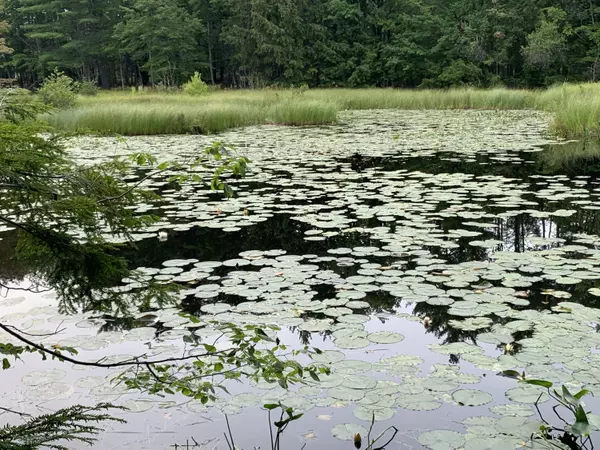 Limerick, ME 04048,TBD Beaver Brook RD