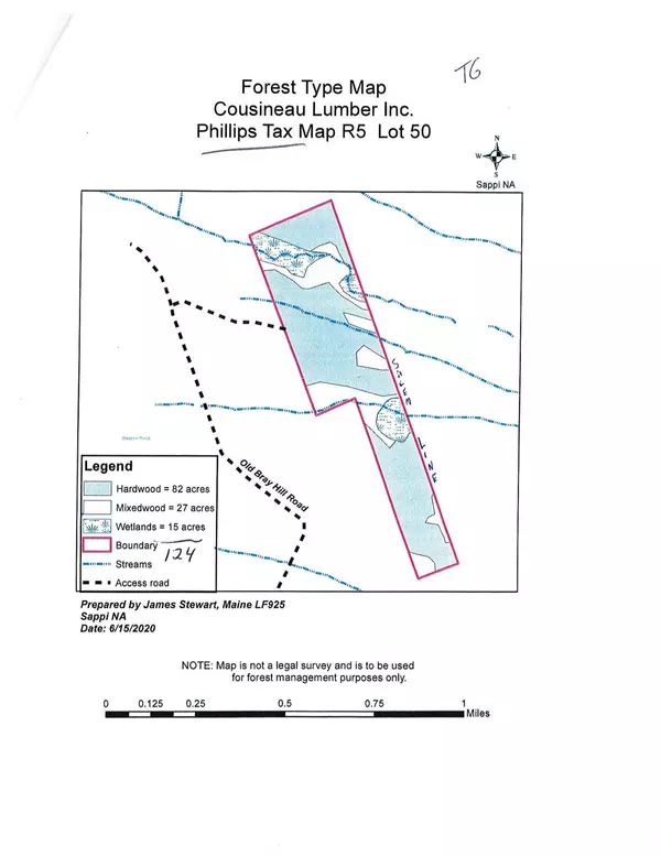 Phillips, ME 04966,TBD Old Bray Hill RD