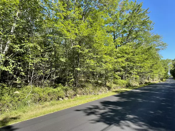 00 Tom Leighton Point Road, Milbridge, ME 04658