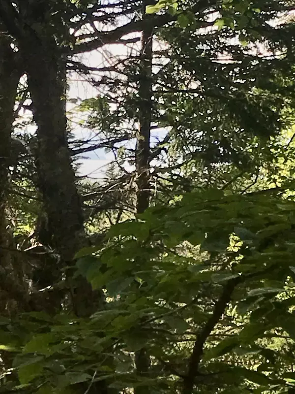 North Haven, ME 04853,# W District RD