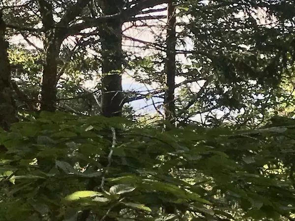 North Haven, ME 04853,# W District RD