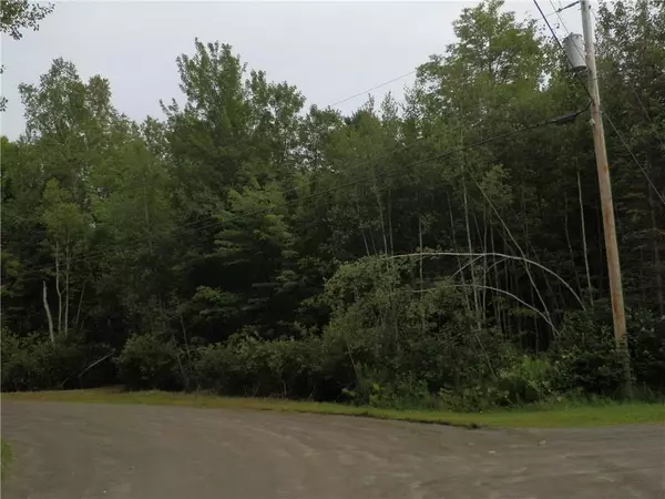 Hudson, ME 04449,Lot 5 Meadowbrook LN