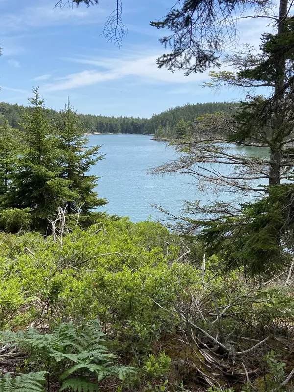 Vinalhaven, ME 04863,430A Calderwood Neck RD