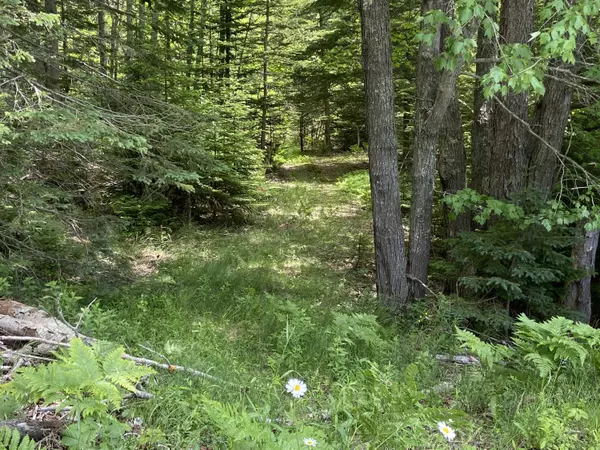 Vinalhaven, ME 04863,430A Calderwood Neck RD