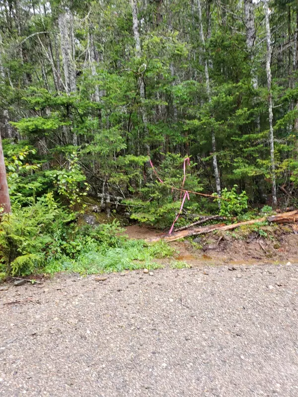 Roque Bluffs, ME 04654,Lot  6D-7D North Duck Cove RD