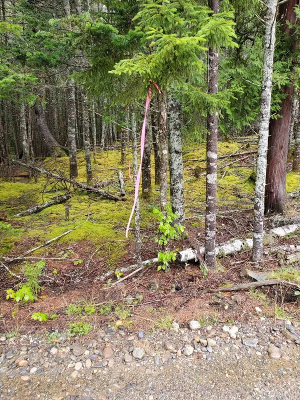 Roque Bluffs, ME 04654,Lot 6D-7D North Duck Cove RD