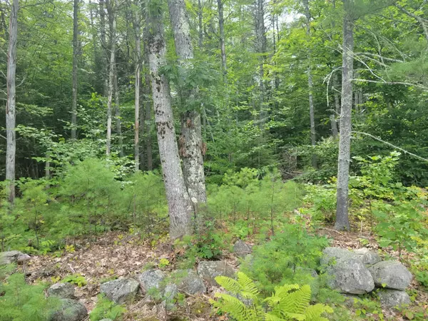 Poland, ME 04274,M17 L1B Megquier Hill RD