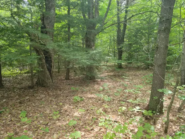 Poland, ME 04274,M17 L1B Megquier Hill RD