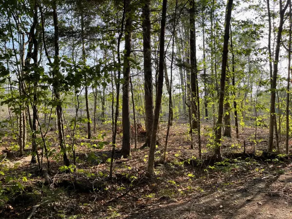 Orland, ME 04472,Lot 27 Wedge Heights RD