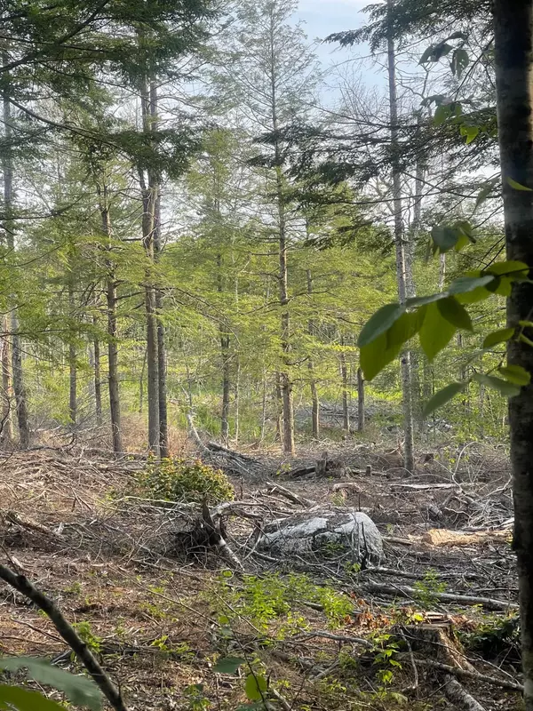 Orland, ME 04472,Lot 27 Wedge Heights RD