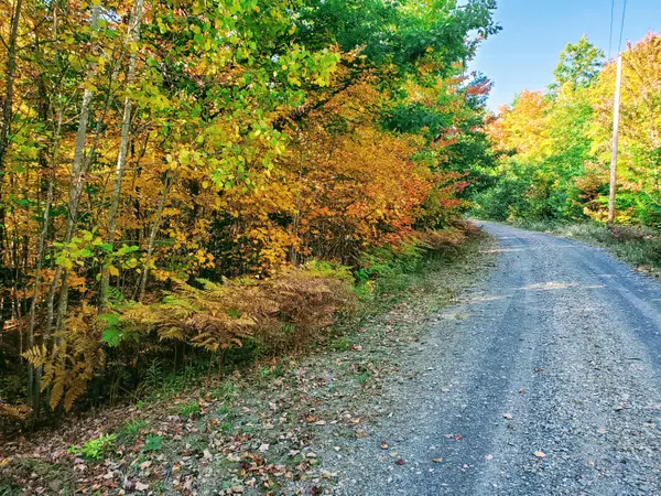 Phillips, ME 04966,Lots 7 & 8 Mooseley Ridge RD