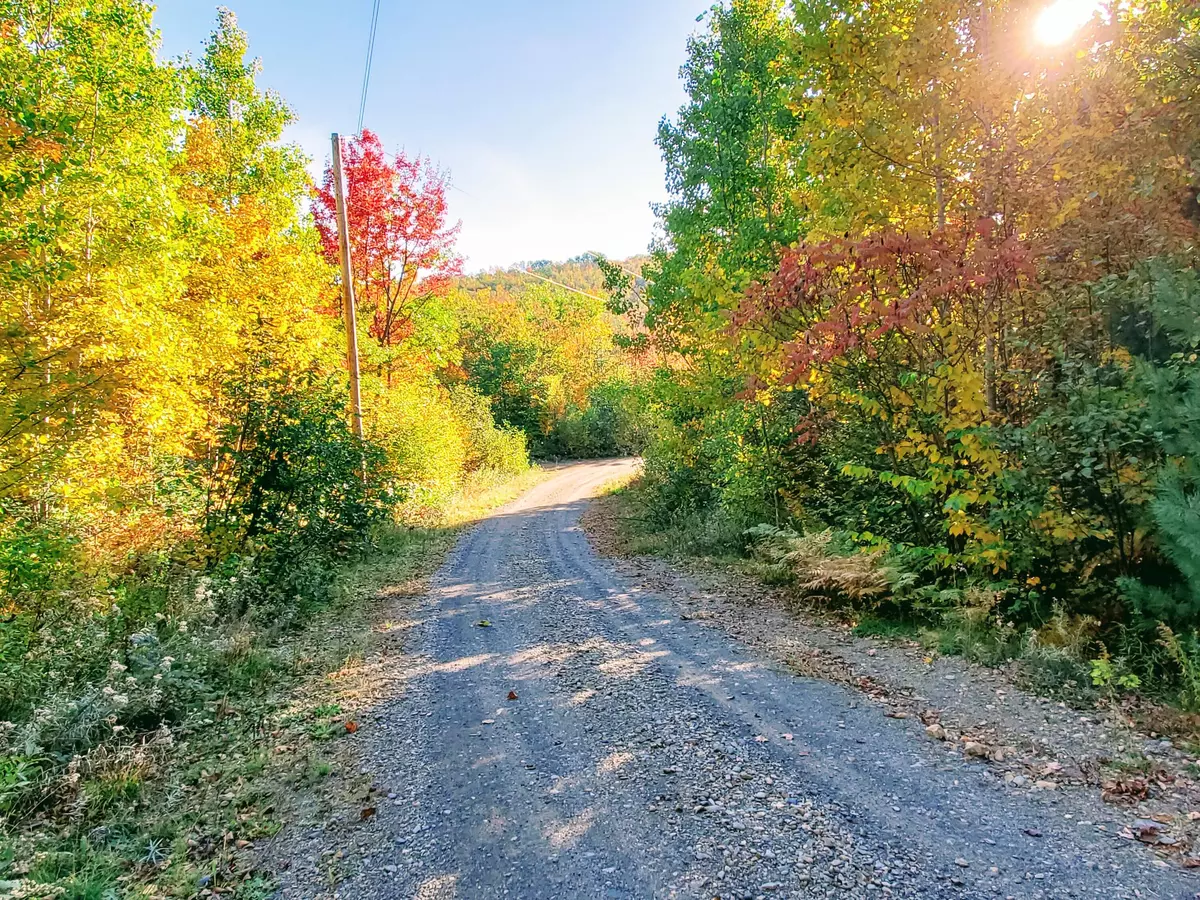 Phillips, ME 04966,Lots 7 & 8 Mooseley Ridge RD
