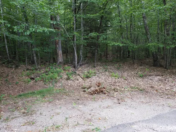 Sabattus, ME 04280,Lot 16 Autumn RDG