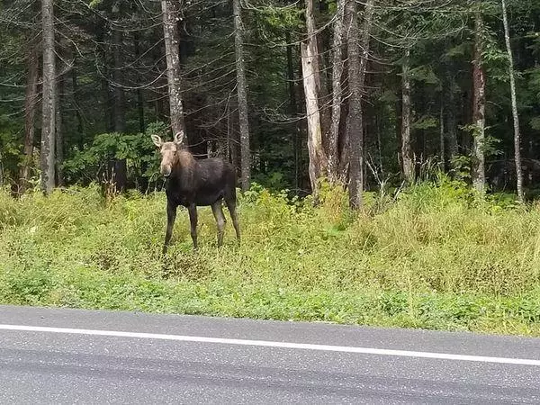 Moro Plt, ME 04780,732 Aroostook Scenic HWY