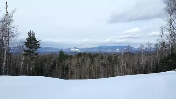 Roxbury, ME 04275,28 Tower RD