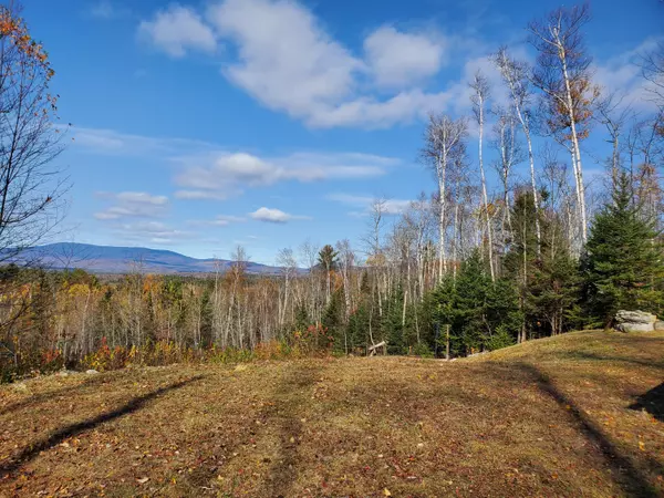 Roxbury, ME 04275,28 Tower RD