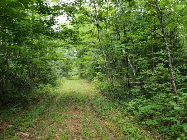 Levant, ME 04456,Lot 6E off Clubhouse RD