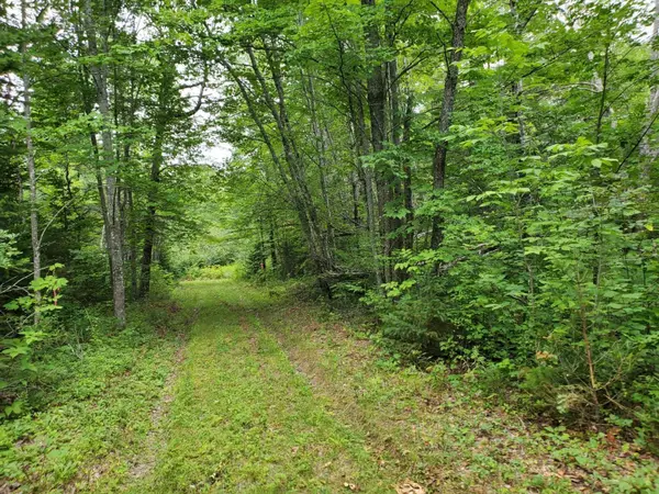 Levant, ME 04456,Lot 6E off Clubhouse RD